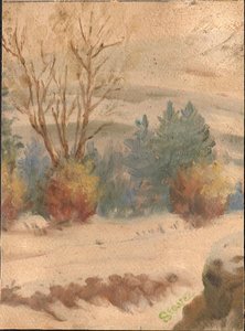 Paisaje de invierno